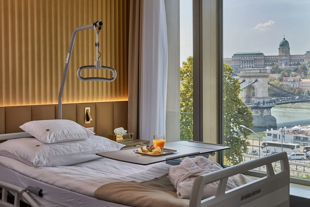 A room at Dr. Rose looking out at Buda Castle and the Chain Bridge