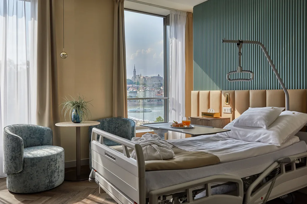 A room at Dr. Rose above the Danube, Matthias Church across the river