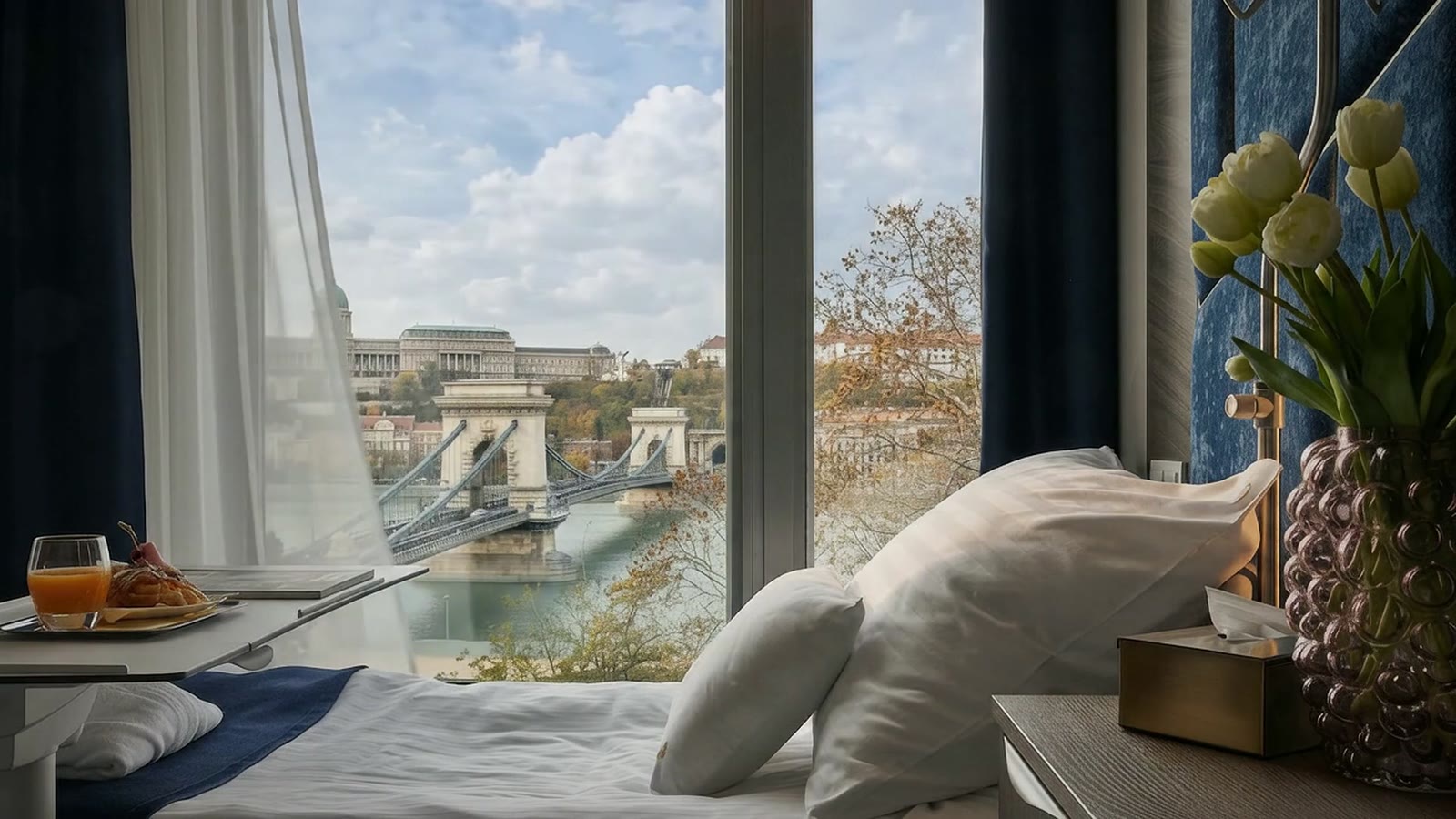 A room at Dr. Rose Private Hospital, looking out at the Chain Bridge and Buda Castle